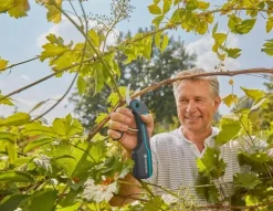Akkuavusteiset oksasakset