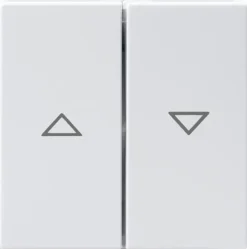 Kaksipainikkeinen kytkin