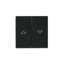 Kaksipainikkeinen kytkin