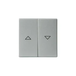 Kaksipainikkeinen kytkin