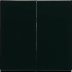 Kaksipainikkeinen kytkin