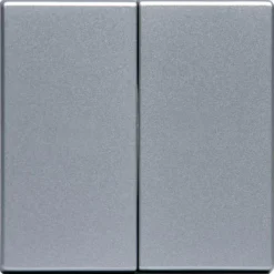 Kaksipainikkeinen kytkin