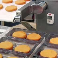 Lämpötila- ja RH-loggeri