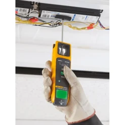 Loistevalaisintesteri