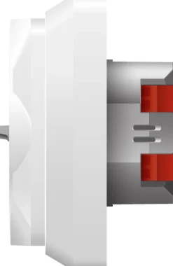 Pistorasia ajastimella