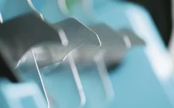 Sammaleenrepijä / nurmikon ilmaaja