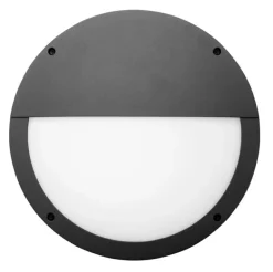 Seinä- ja kattovalaisin