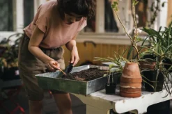 Siementen istutuslapio