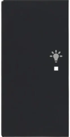 Yksiosainen vipupainike