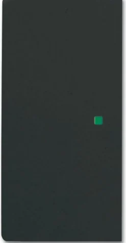 Yksiosainen vipupainike