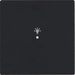 Yksiosainen vipupainike