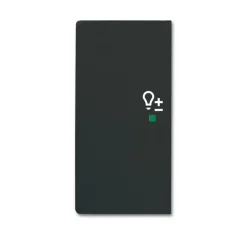 Yksiosainen vipupainike