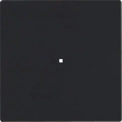 Yksiosainen vipupainike